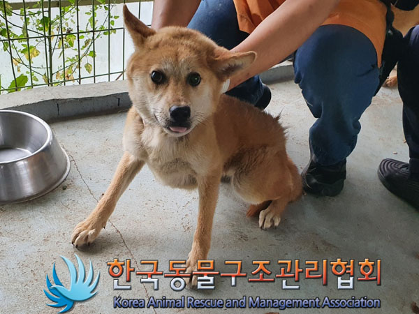 한국동물구조관리협회_441559202300512