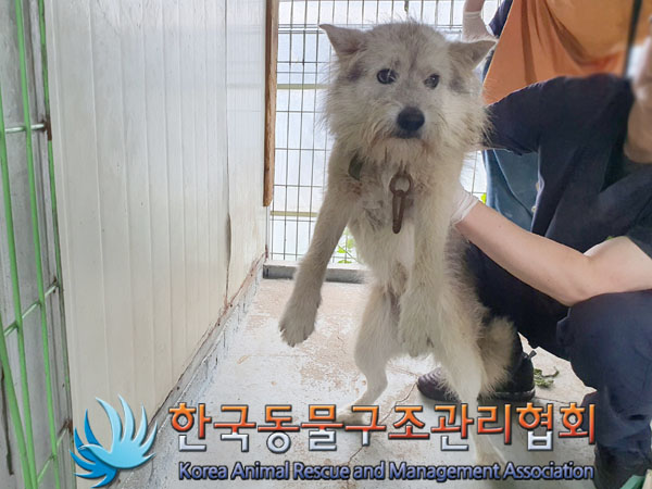 한국동물구조관리협회_441559202300510
