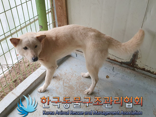 한국동물구조관리협회_441559202300506