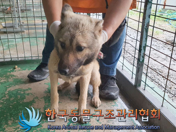 한국동물구조관리협회_441559202300515