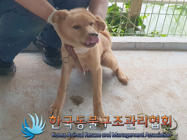 한국동물구조관리협회_441559202300509