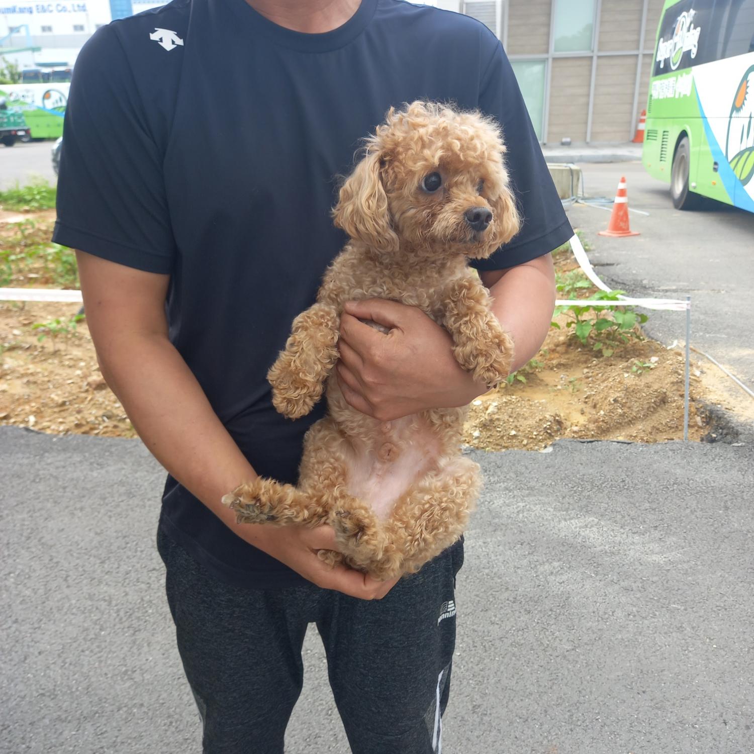 평택시유기동물보호소_441391202301638