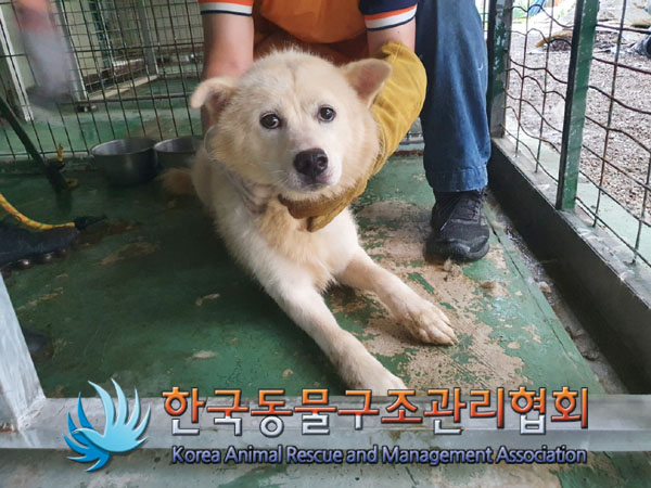 한국동물구조관리협회_441559202300523