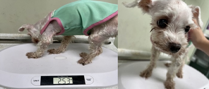 누리동물병원_426335202300260