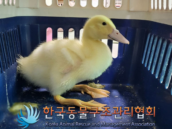 한국동물구조관리협회_411307202300242