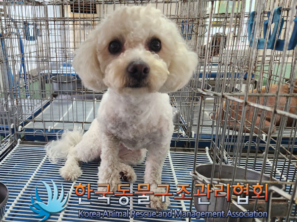 한국동물구조관리협회_411318202300301