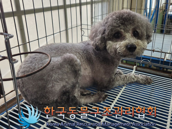 한국동물구조관리협회_411304202300434