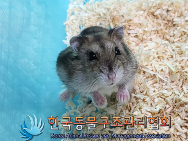한국동물구조관리협회_441560202300861