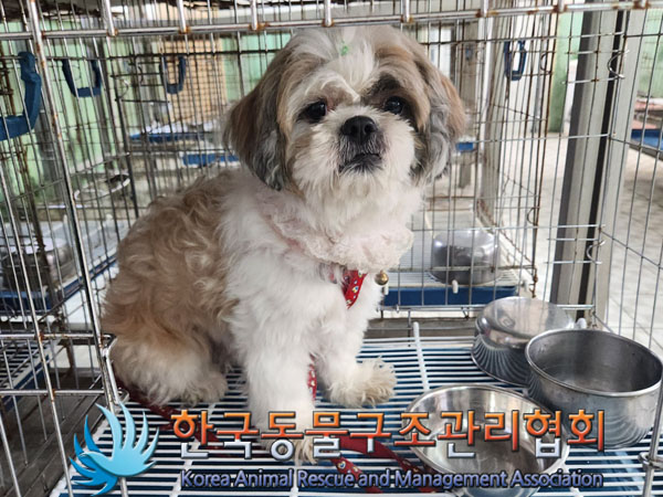 한국동물구조관리협회_411318202300302
