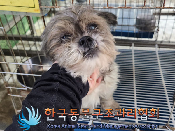 한국동물구조관리협회_411300202300256