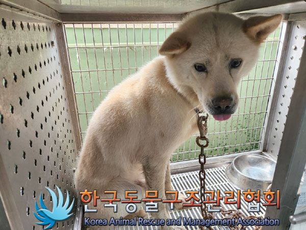 한국동물구조관리협회_411324202300397