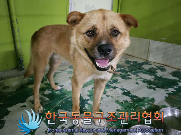 한국동물구조관리협회_441406202300972