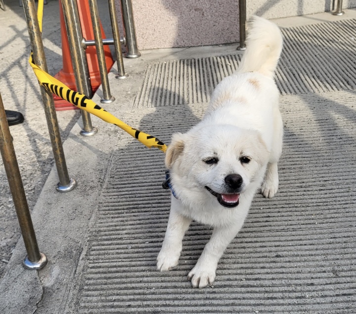 불갑동물임시보호소_446497202300273