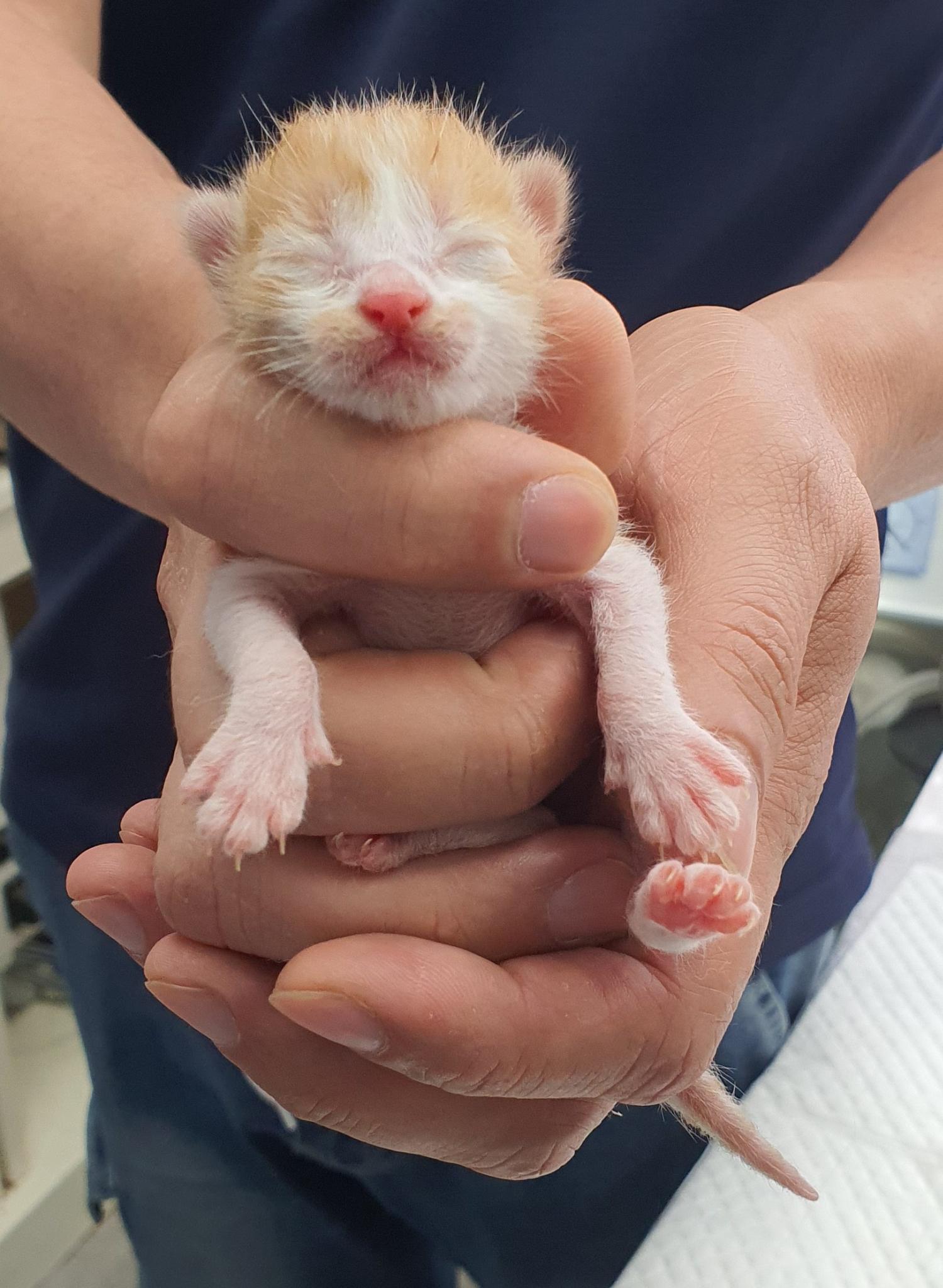 베스트동물병원_428357202300626