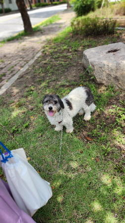 익산유기동물보호소_445468202301408