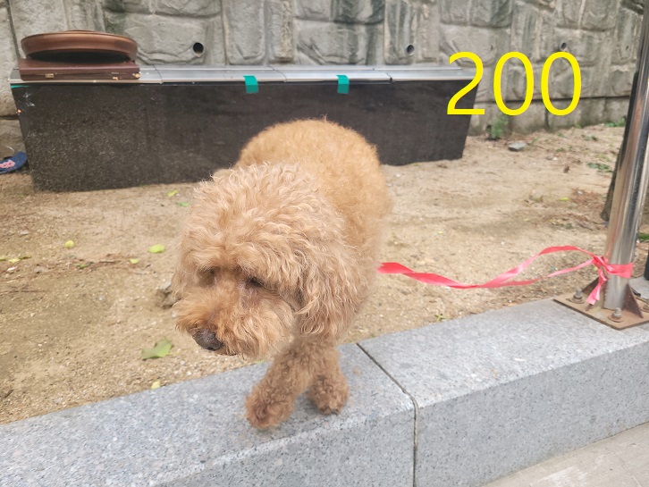 신영재동물병원_428355202300356
