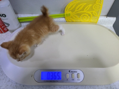 누리동물병원_426331202300170