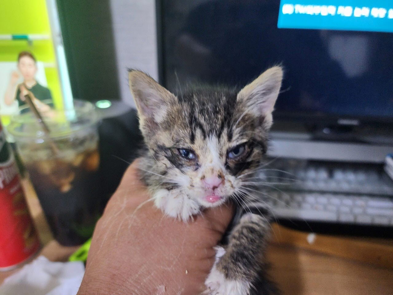 아산동물복지지원센터_444452202301418