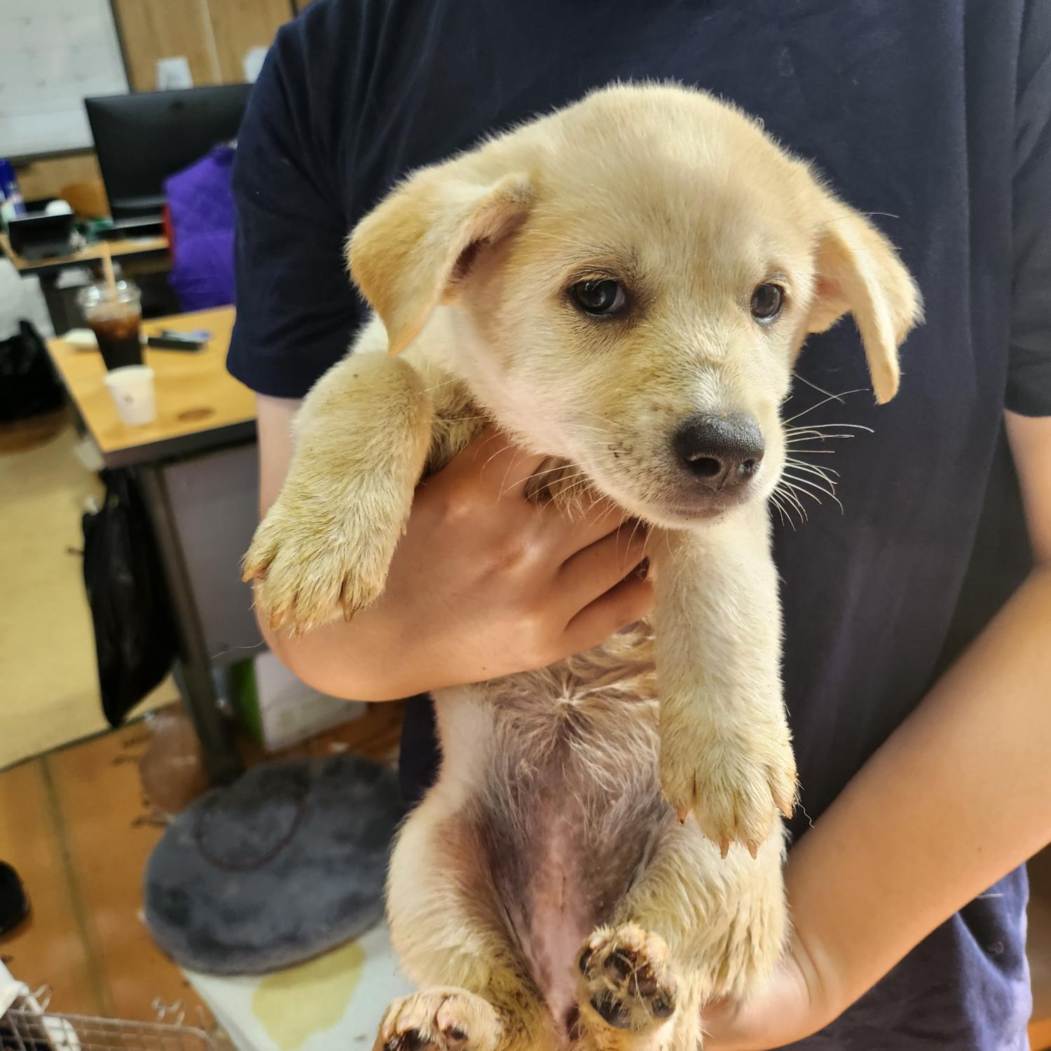 울산유기동물보호센터_431369202300481
