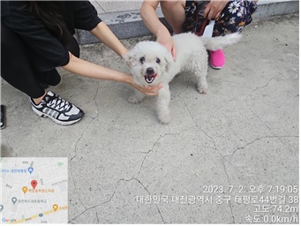 대전동물보호센터_430365202300312