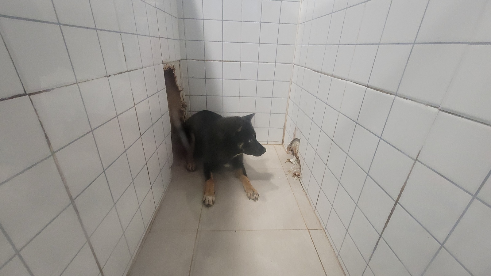 둔촌동물병원_411324202300399