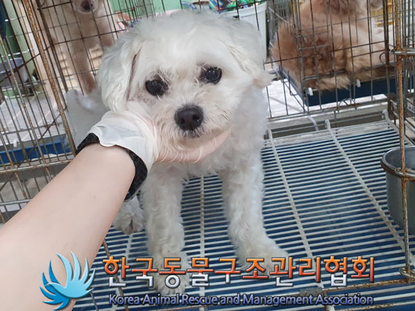 한국동물구조관리협회_441559202300539