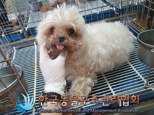 한국동물구조관리협회_441409202301069