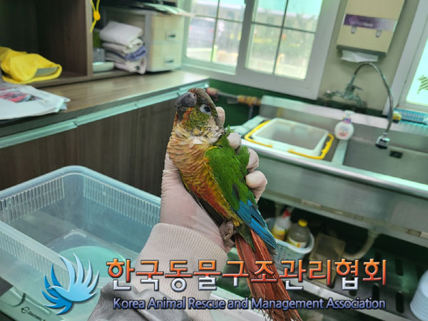 한국동물구조관리협회_411324202300401