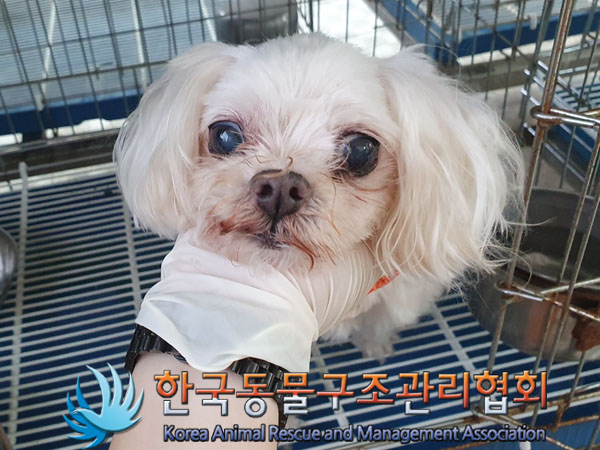 한국동물구조관리협회_411312202300466