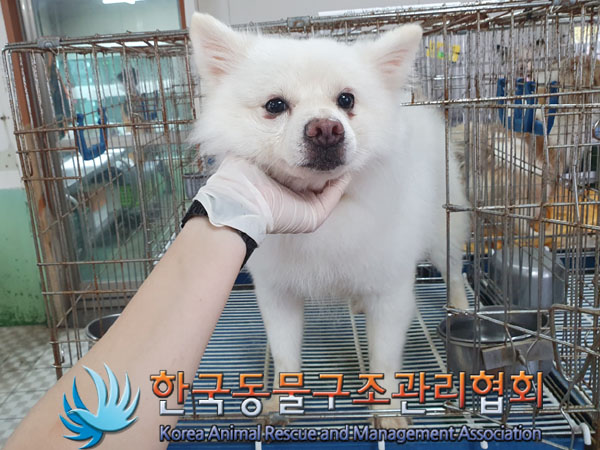 한국동물구조관리협회_411305202300344