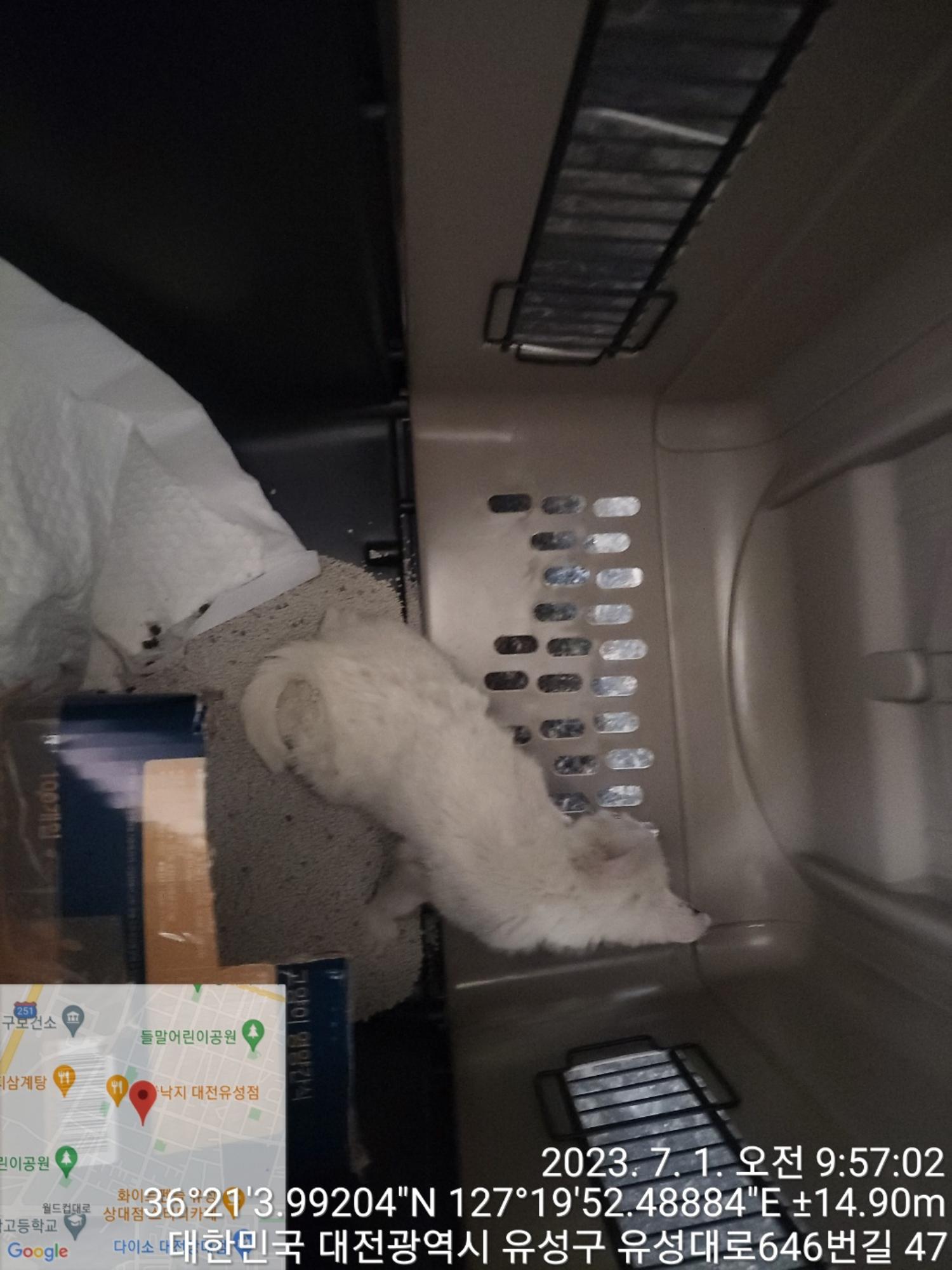 대전동물보호센터_430367202300391