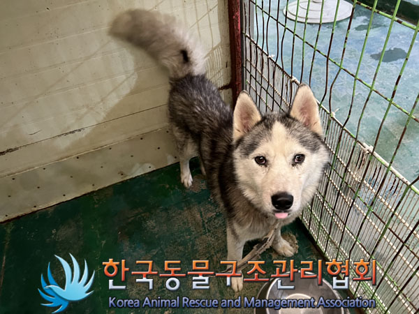한국동물구조관리협회_441560202300863