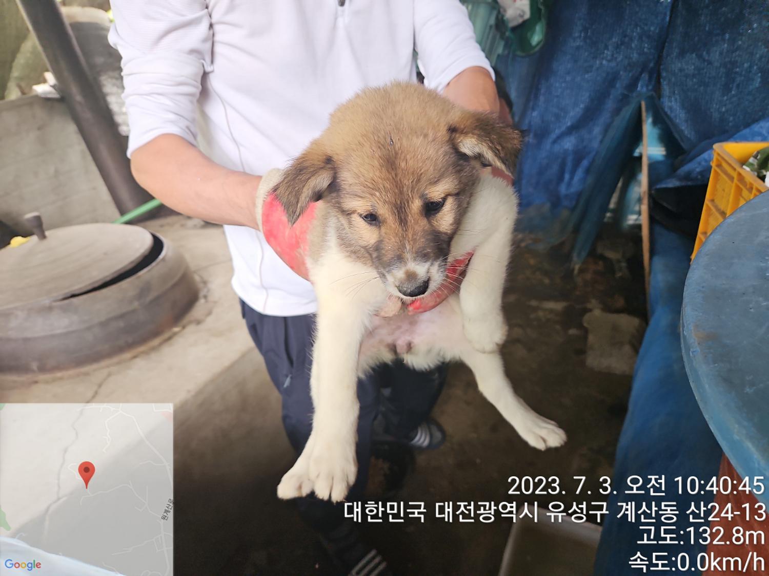 대전동물보호센터_430367202300397