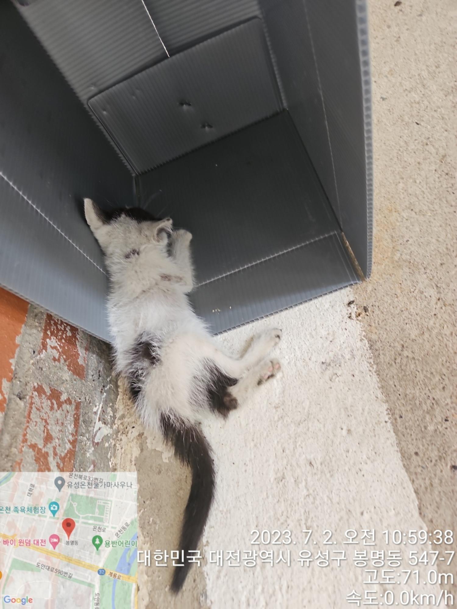 대전동물보호센터_430367202300392