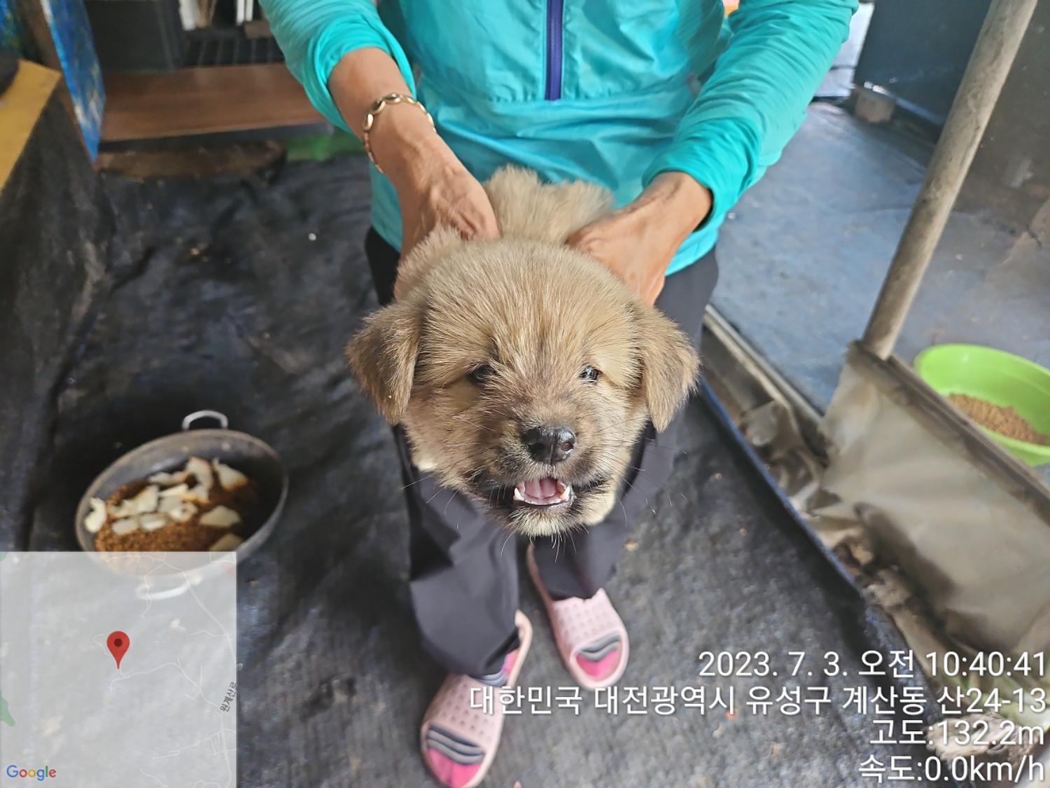 대전동물보호센터_430367202300396
