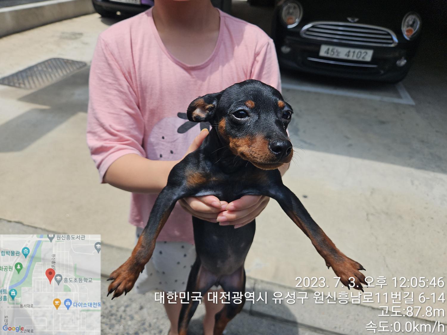 대전동물보호센터_430367202300399