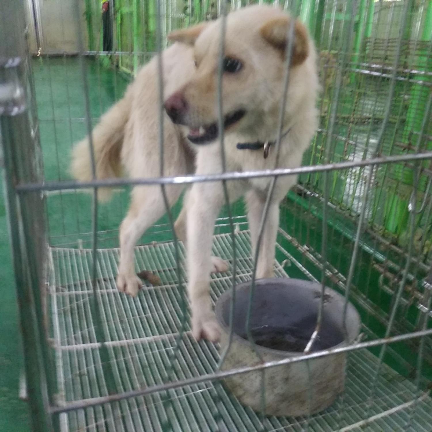 인천광역시수의사회_428353202300831