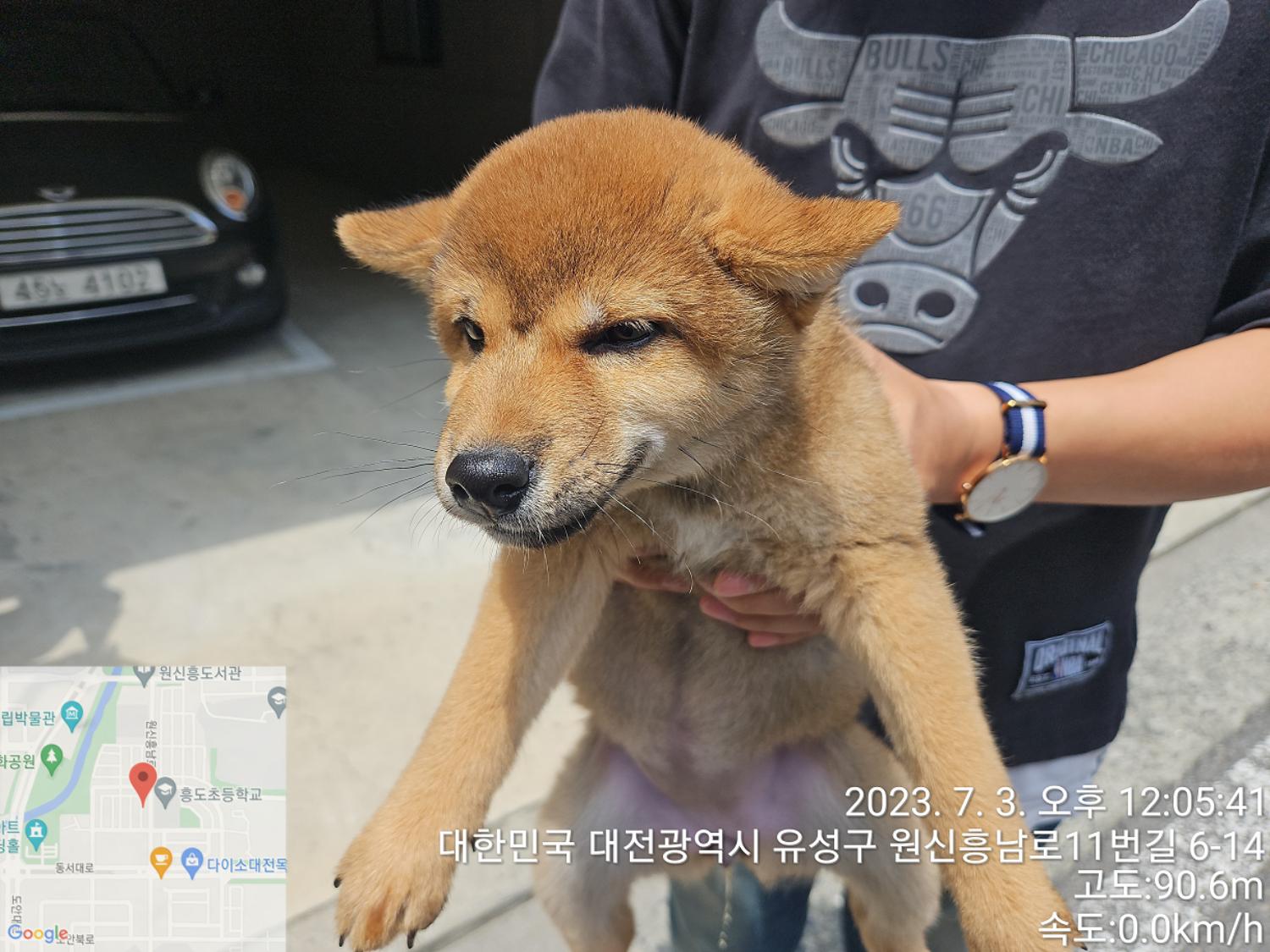 대전동물보호센터_430367202300398