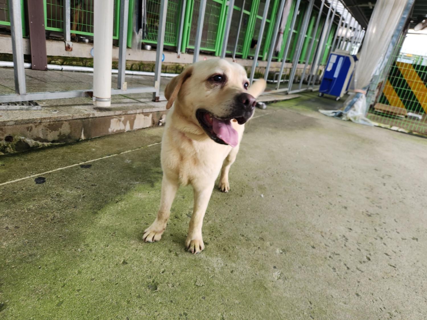 광주 동물보호소_429362202300562