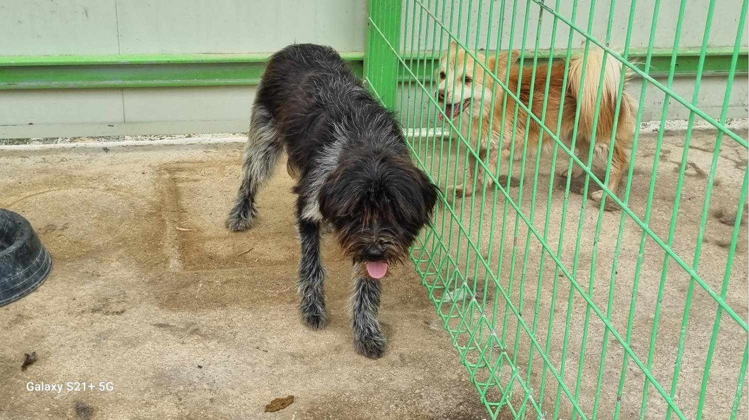 전북말산업복합센터_445471202300163