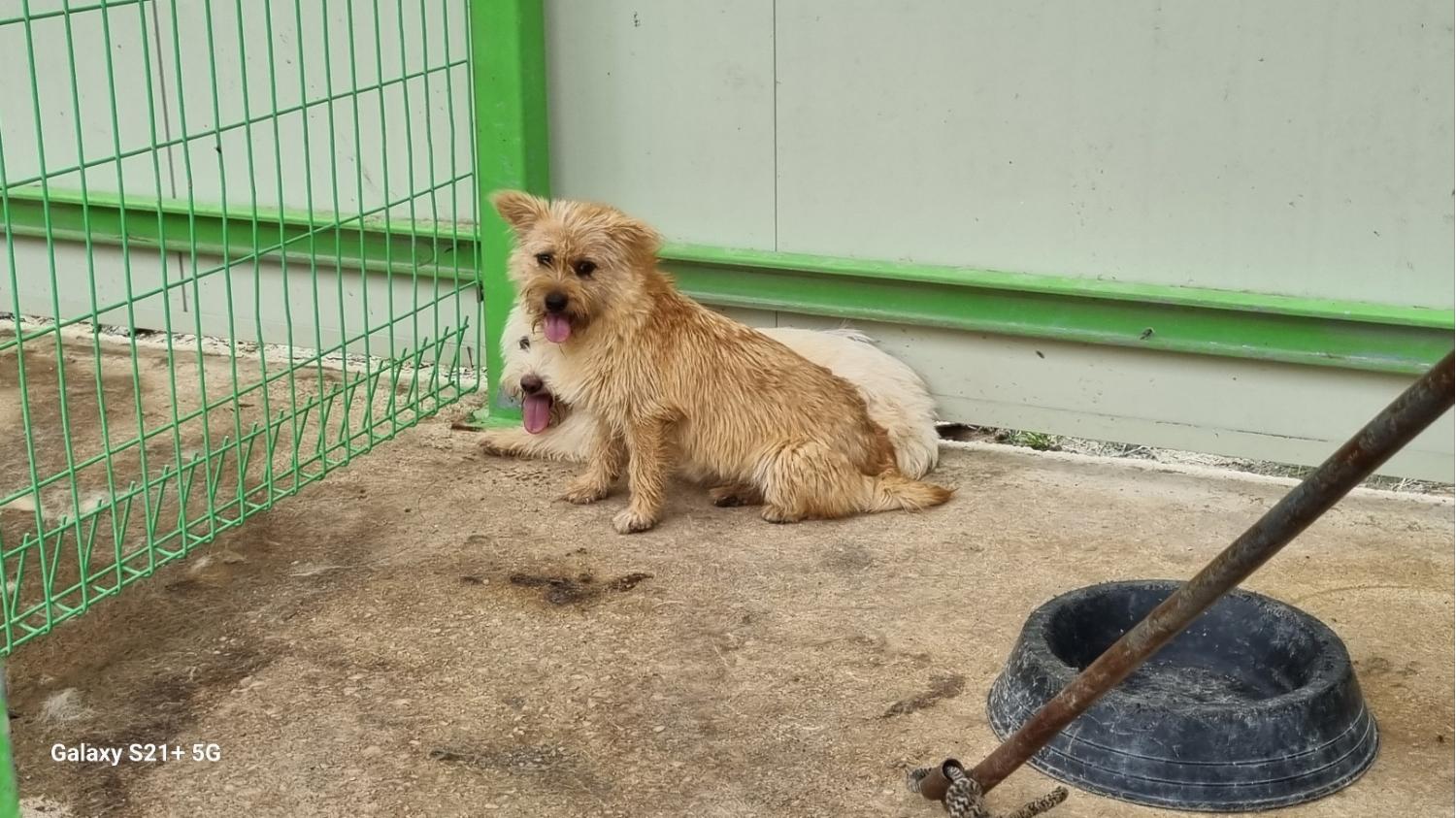 전북말산업복합센터_445471202300164
