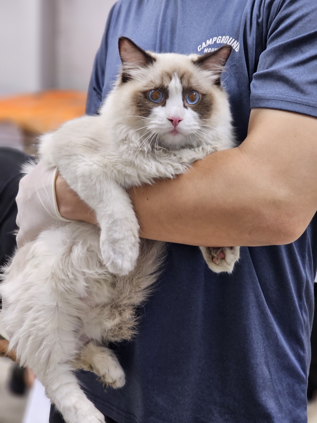 반려동물보호센터_443571202301833