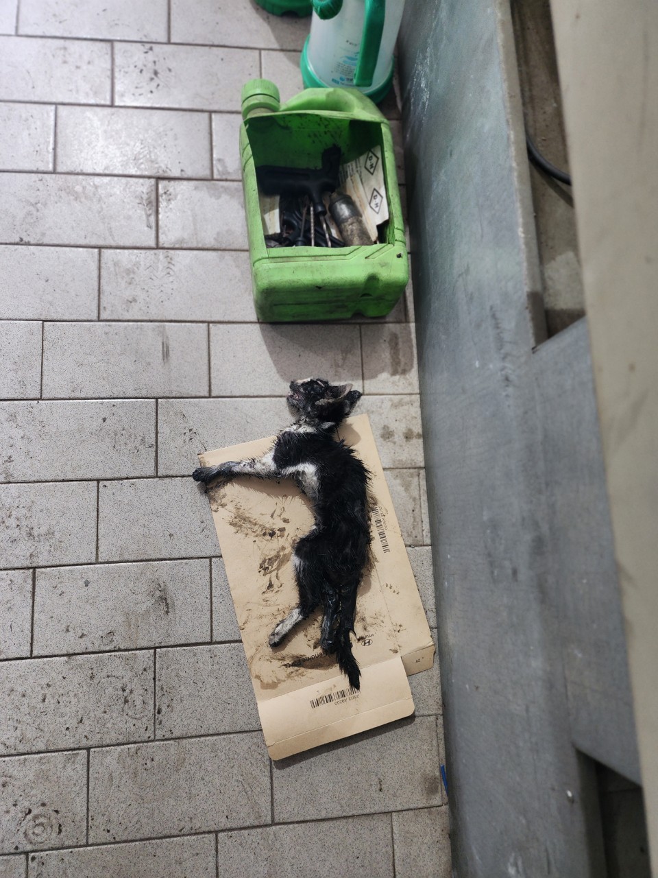아산동물복지지원센터_444452202301436