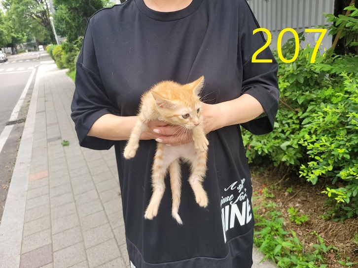 신영재동물병원_428355202300363