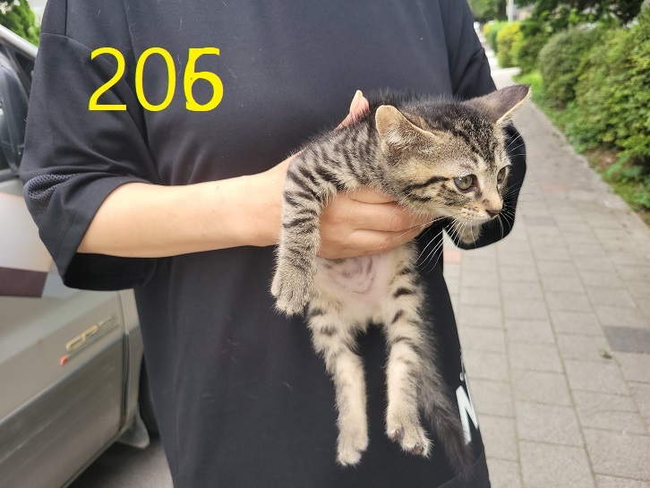 신영재동물병원_428355202300362