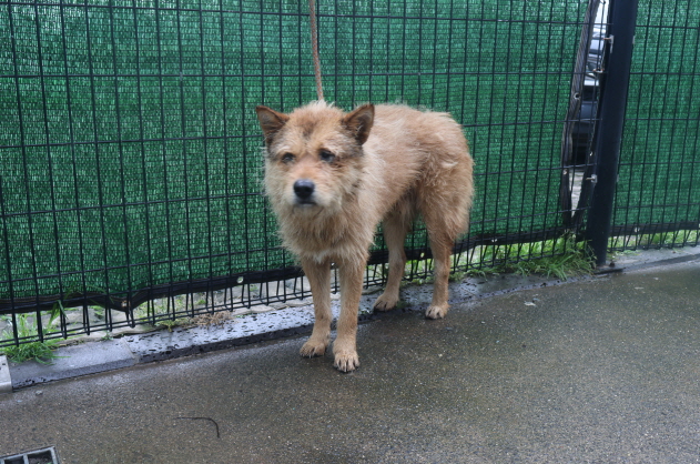 제주 동물보호센터_450650202302200