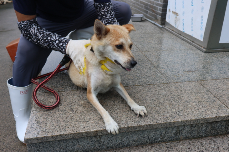제주 동물보호센터_450650202302239
