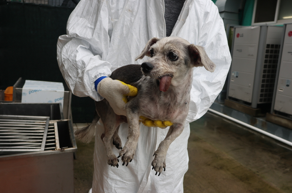 제주 동물보호센터_450650202302235