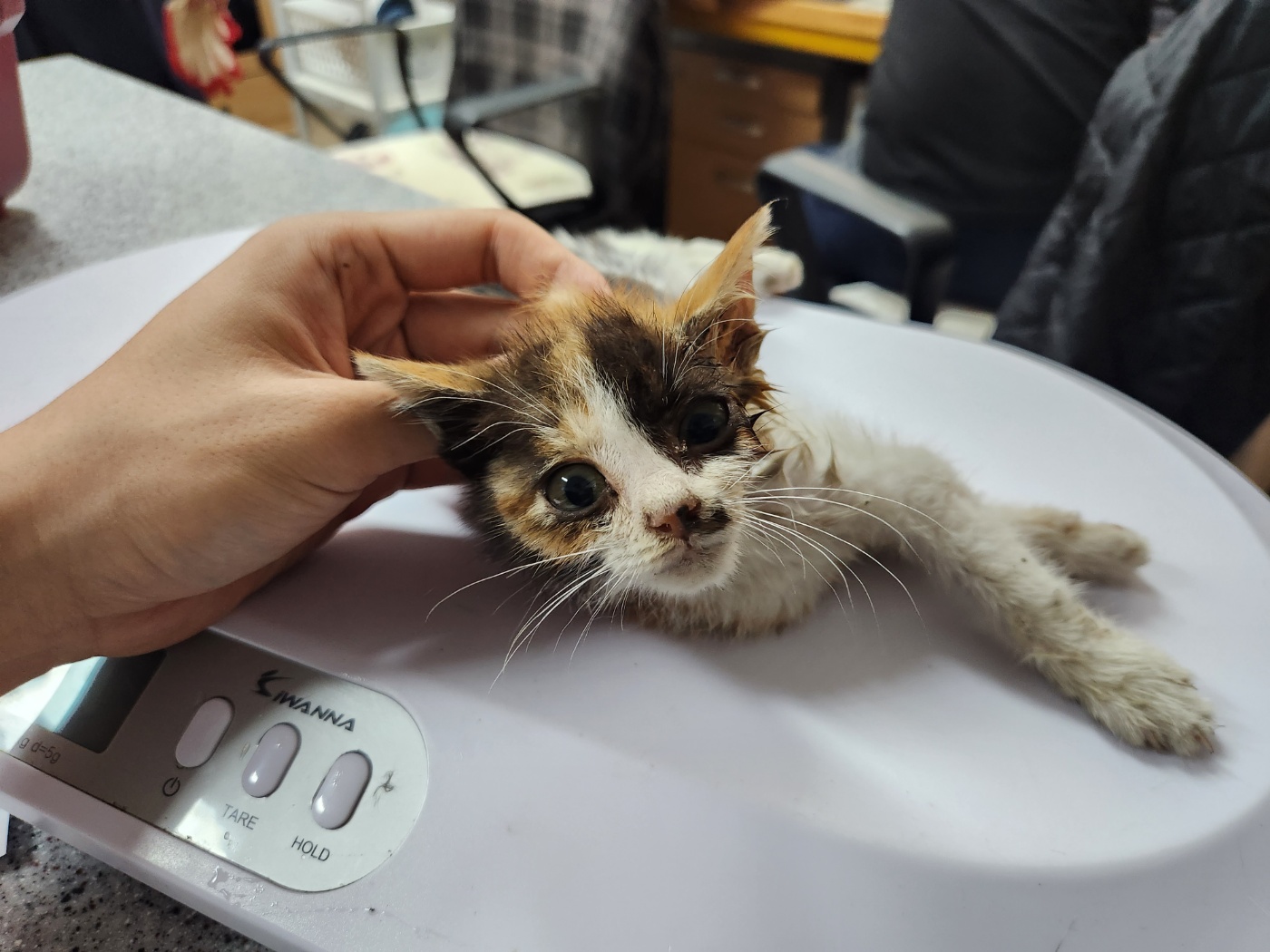 광주 동물보호소_429362202300563