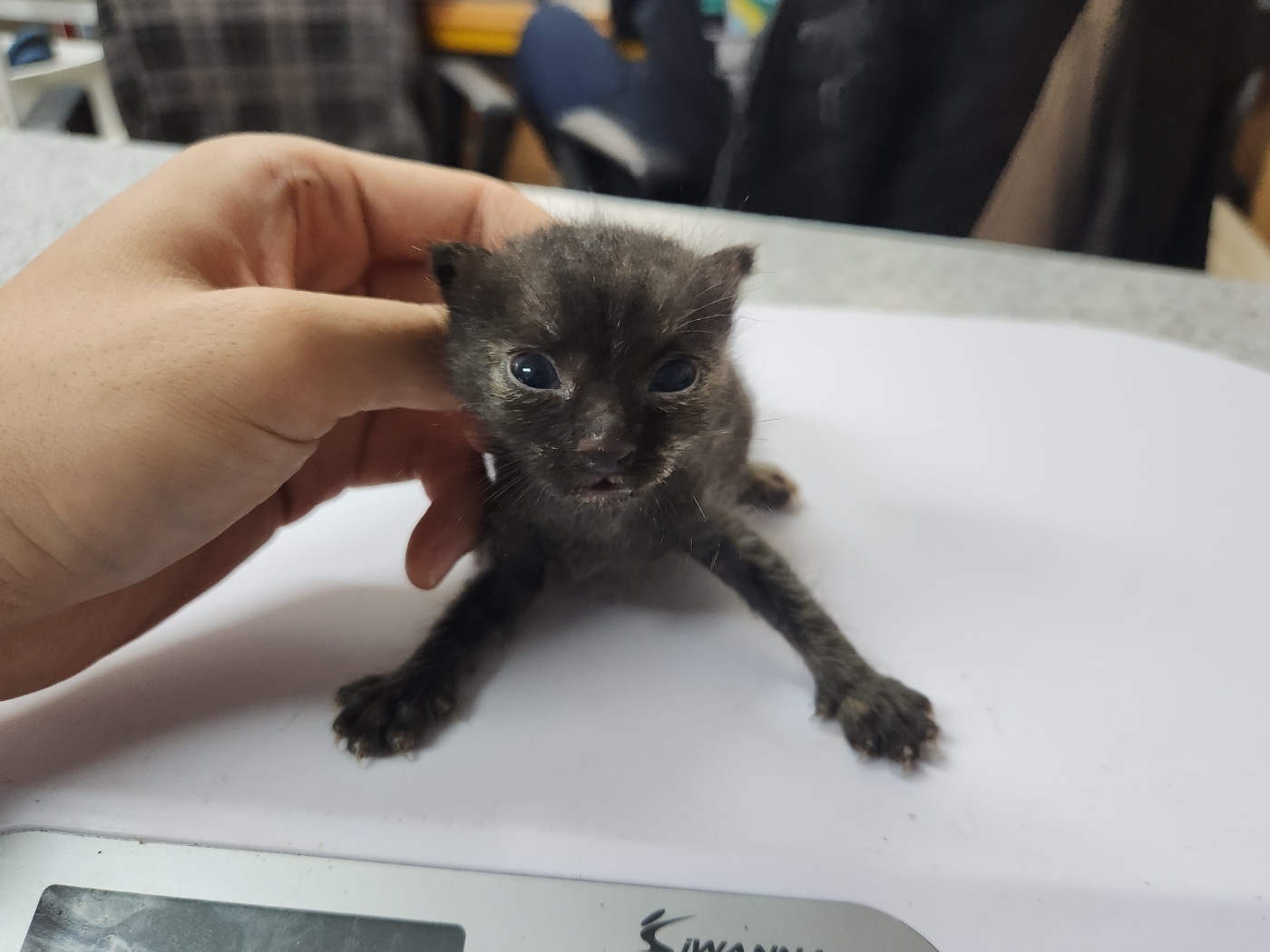 광주 동물보호소_429361202300278